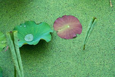《收获日3》伦敦举行趣味活动 全城抢劫运钞车